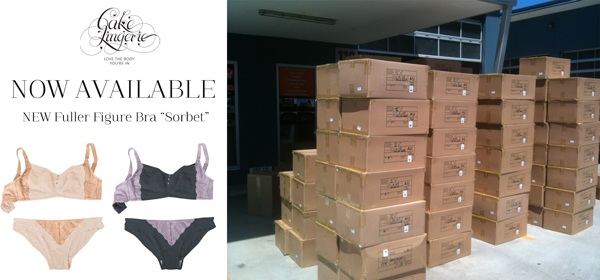 NewSorbetbras Sorbet Plus Size Nursing Bras
