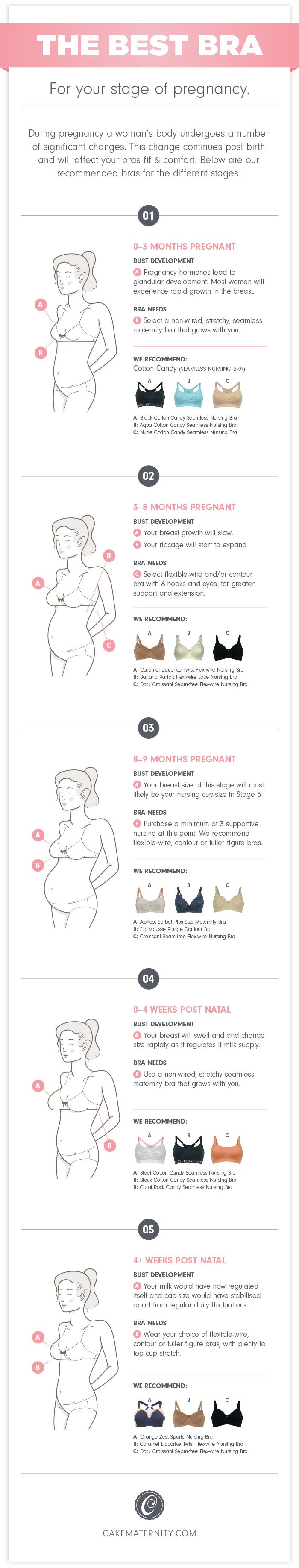 The Best Bra for Your Stage of Pregnancy Infographic The Best Bra for Your Stage of Pregnancy Infographic