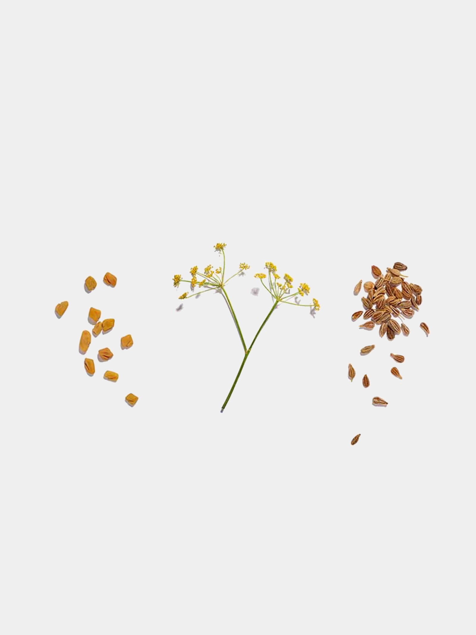 breastfeeding tea - various