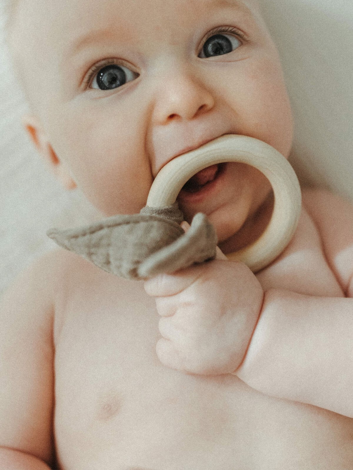 bunny teethers - charcoal