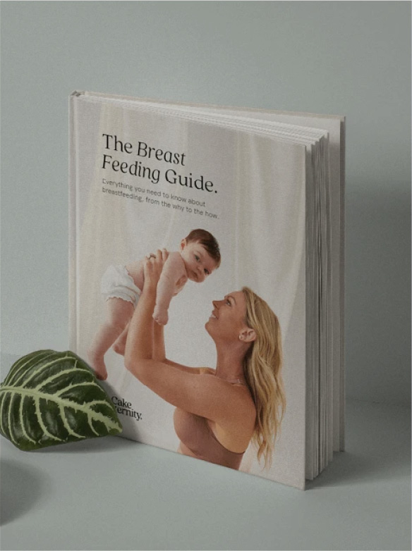 breastfeeding guide e-book