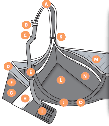 Bra Features Illustration