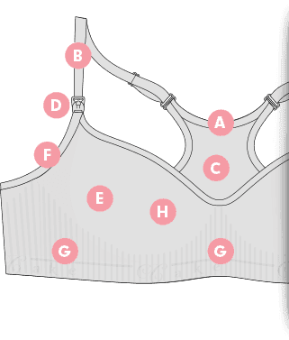 Bra Features Illustration