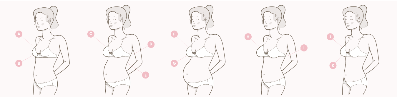 The Ultimate Guide To Maternity Amp Nursing Bras Cake Maternity