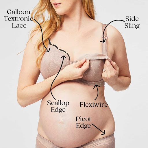 bra glossary guide front view