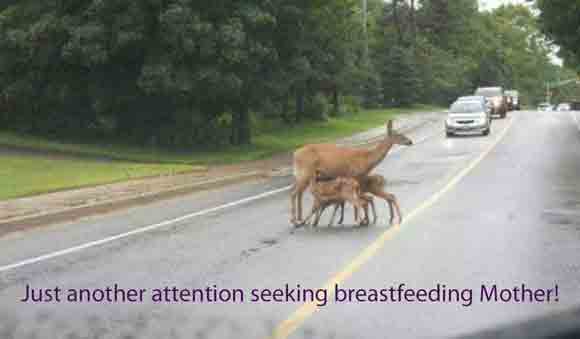 breastfeeding mother