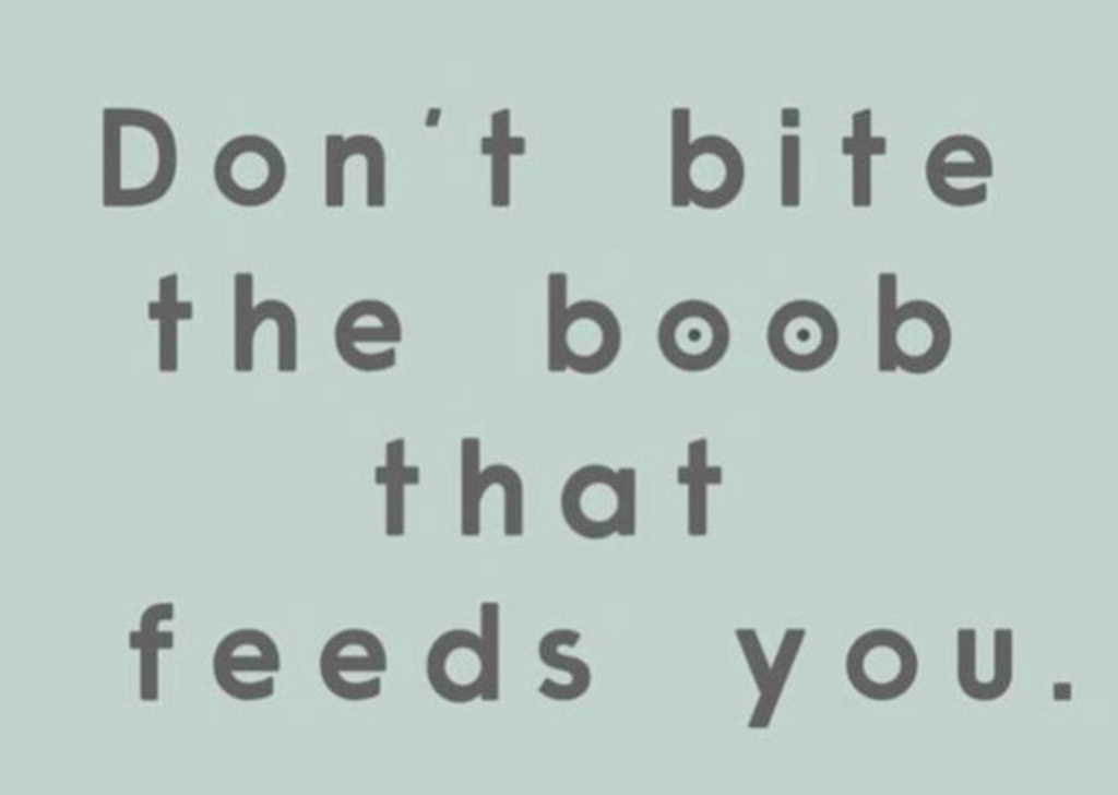 don't bite the boob