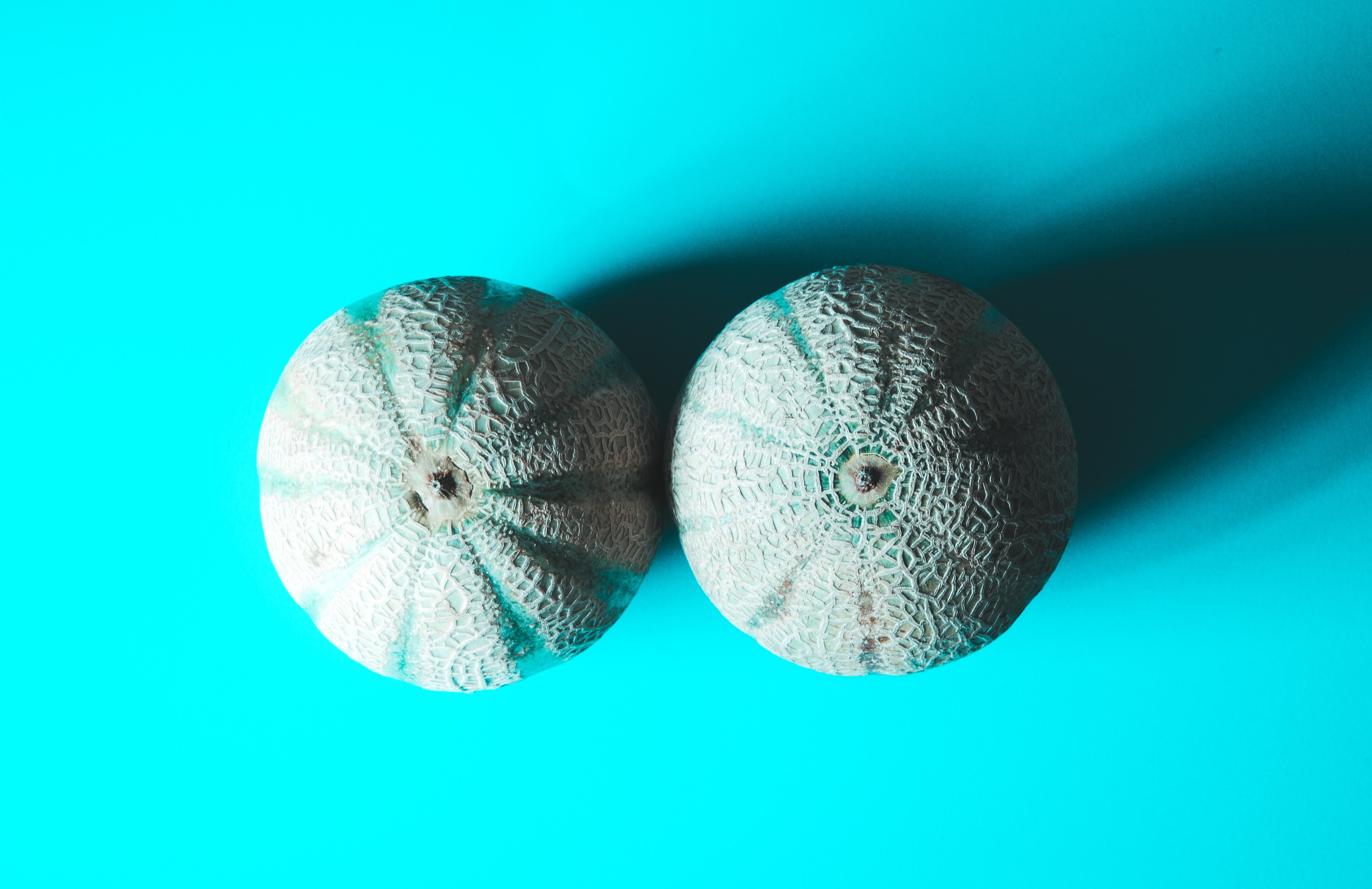 melons