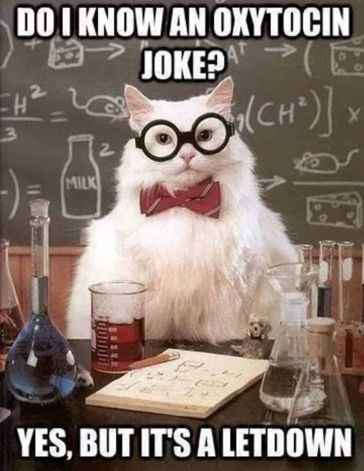 oxytocin joke