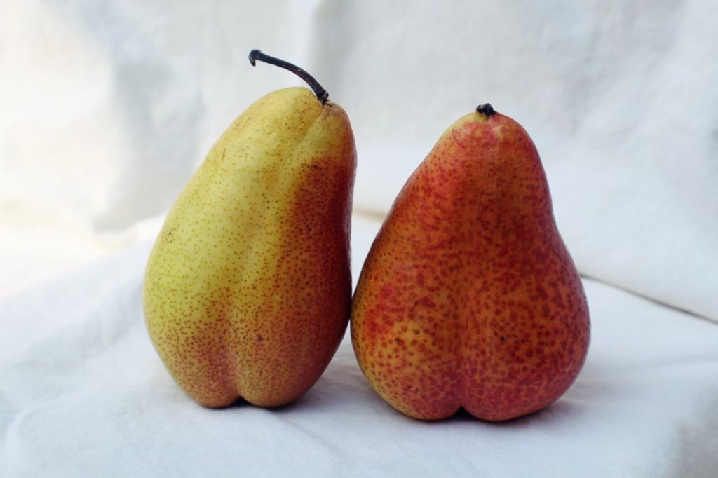 pears
