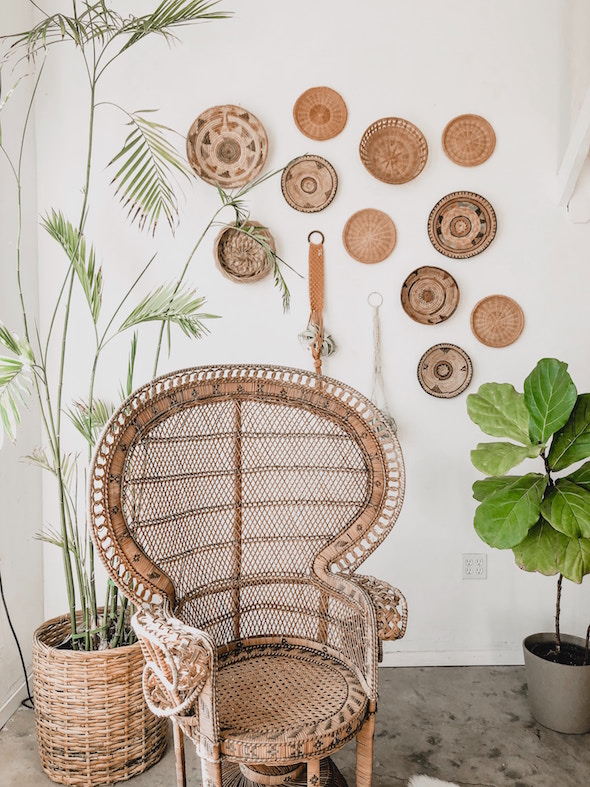 plant, chair, furniture
