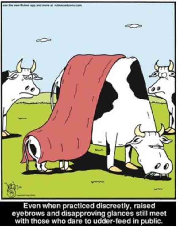 udder-feed in public