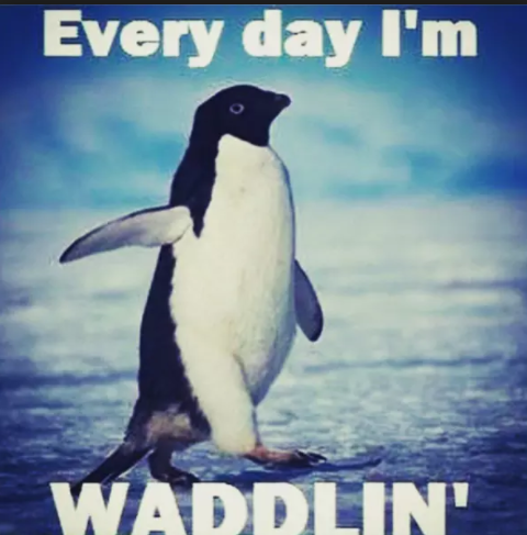 waddlin